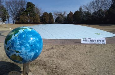 コラムスタート