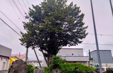 しりべし・くつろ木の会