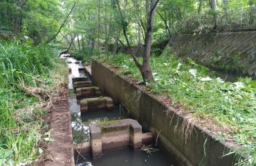 魚道研究会