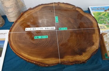 時間価値について