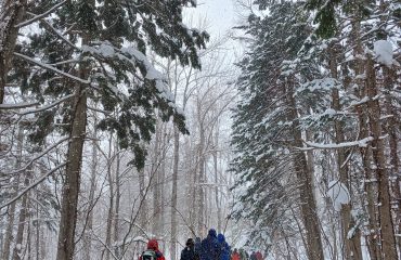 後志総合振興局産業振興部林務課主催のイベント「雪と木の1日」に参加してきました！【午前の部】