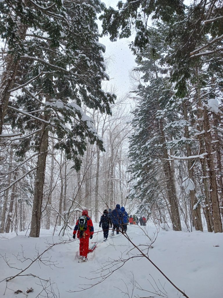 後志総合振興局産業振興部林務課主催のイベント「雪と木の1日」に参加してきました！【午前の部】